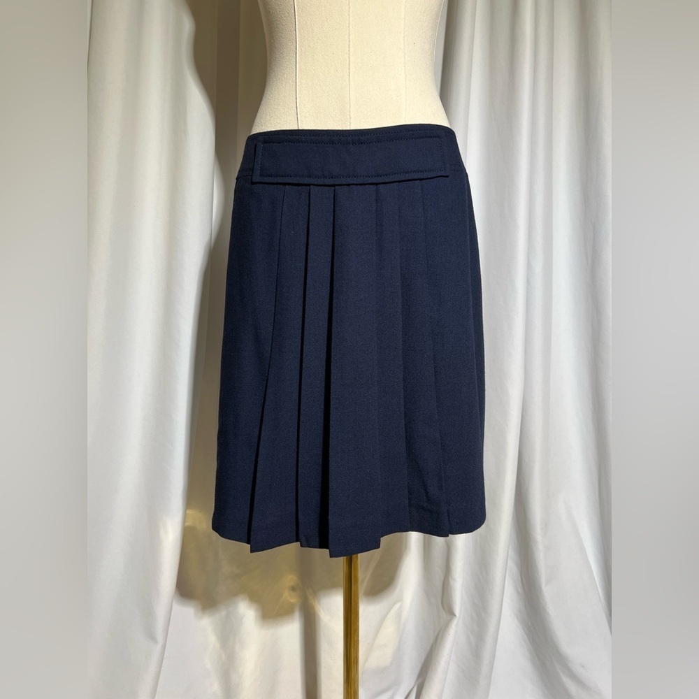 Tara Jarmon Wool Blend Pleated skirt | 38 US 6